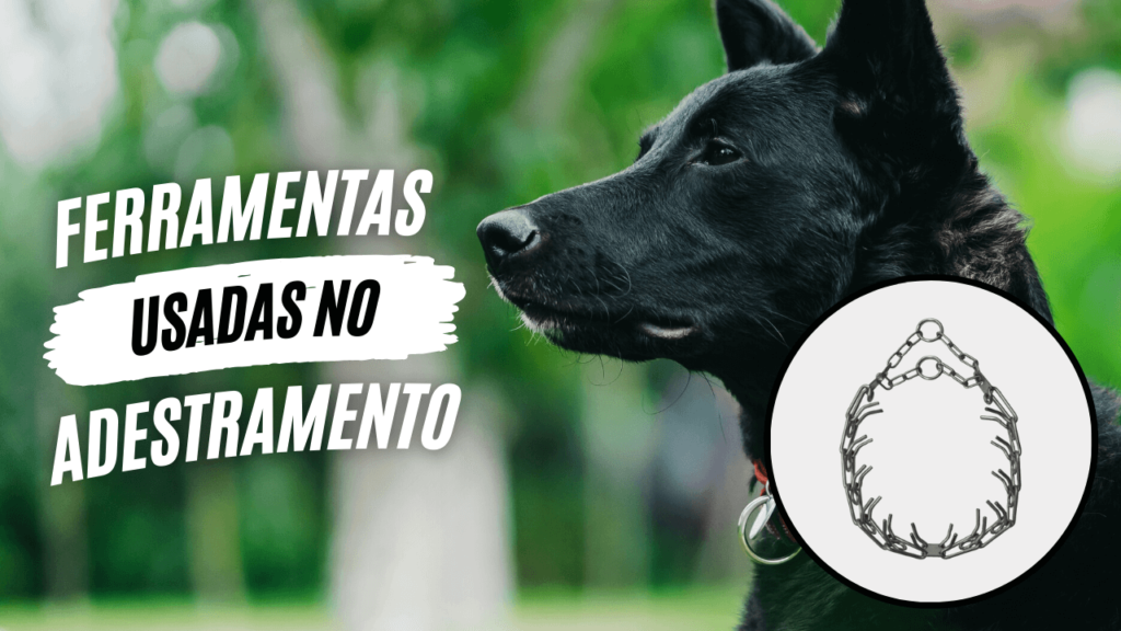 Ferramentas usadas no adestramento - O Caminho da Mente Canina - Jhon's Dog - Adestramento de Cães