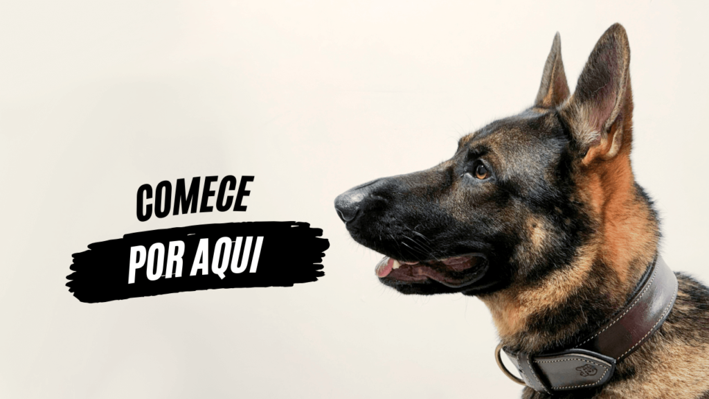 Comece por aqui - O Caminho da Mente Canina - Jhon's Dog - Adestramento de Cães